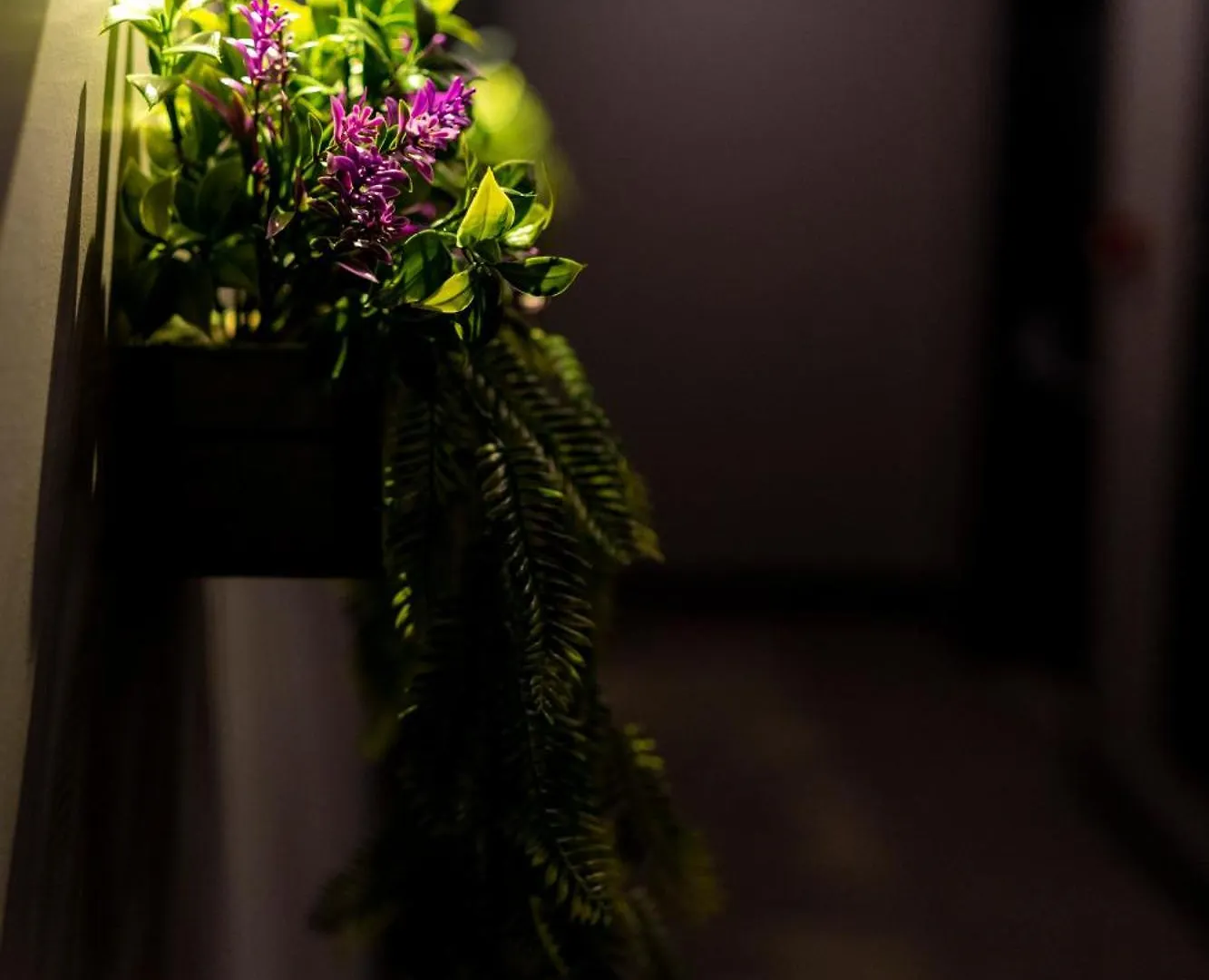 Brandroom Hotel Istanbul